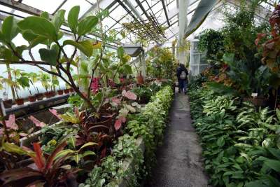 Ogród Botaniczny o tej porze pachnie najpiękniej... - zdjęcie 28