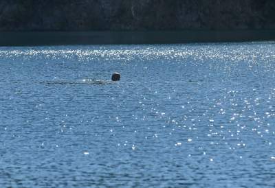 Zakrzówek w budowie... - zdjęcie 26