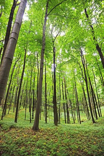 Nowy rezerwat niedaleko Krakowa: Góra Stołowa - zdjęcie 19