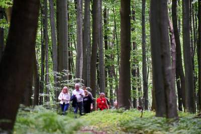 Nowy rezerwat niedaleko Krakowa: Góra Stołowa - zdjęcie 21