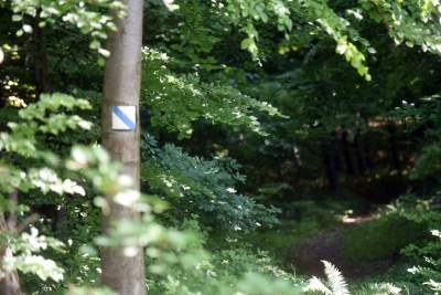 Nowy rezerwat niedaleko Krakowa: Góra Stołowa - zdjęcie 2