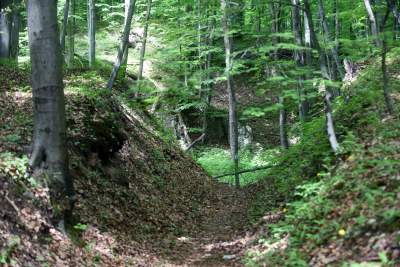 Nowy rezerwat niedaleko Krakowa: Góra Stołowa - zdjęcie 30