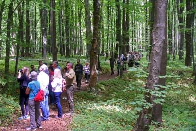 Nowy rezerwat niedaleko Krakowa: Góra Stołowa - zdjęcie 23