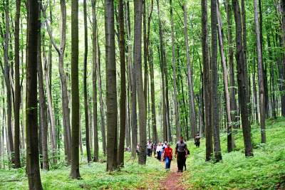 Nowy rezerwat niedaleko Krakowa: Góra Stołowa - zdjęcie 17