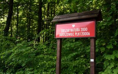 Nowy rezerwat niedaleko Krakowa: Góra Stołowa - zdjęcie 32