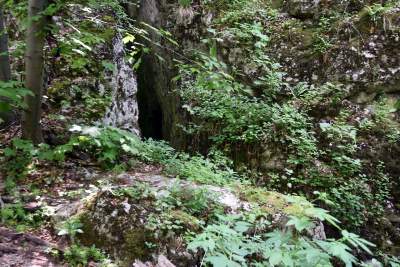 Nowy rezerwat niedaleko Krakowa: Góra Stołowa - zdjęcie 10