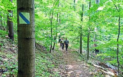 Nowy rezerwat niedaleko Krakowa: Góra Stołowa - zdjęcie 7