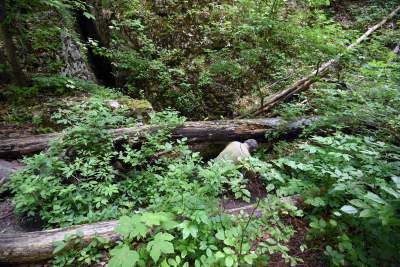 Nowy rezerwat niedaleko Krakowa: Góra Stołowa - zdjęcie 9