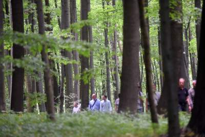 Nowy rezerwat niedaleko Krakowa: Góra Stołowa - zdjęcie 22