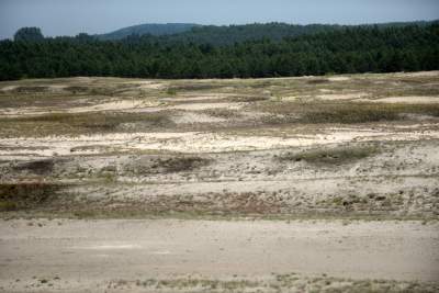 Największy w Polsce obszar lotnych piasków, przyciąga turystów - zdjęcie 15