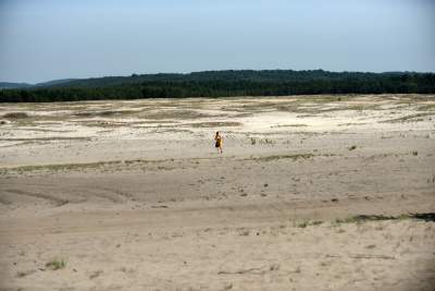 Największy w Polsce obszar lotnych piasków, przyciąga turystów - zdjęcie 16