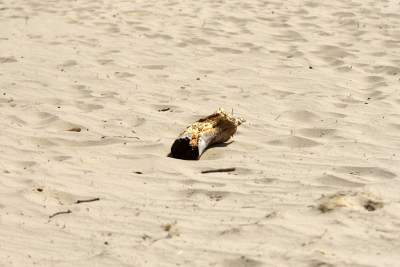 Największy w Polsce obszar lotnych piasków, przyciąga turystów - zdjęcie 10