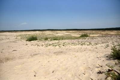 Największy w Polsce obszar lotnych piasków, przyciąga turystów - zdjęcie 13