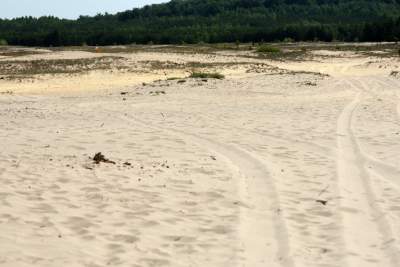 Największy w Polsce obszar lotnych piasków, przyciąga turystów - zdjęcie 11