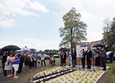 Przypomnieli o ofiarach zapomnianego obozu w Prokocimiu. Fot. Marek Lasyk - zdjęcie 2