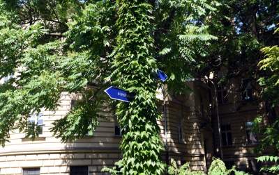 Wesoła, czerwiec 2021. Fot. Marek Lasyk - zdjęcie 15