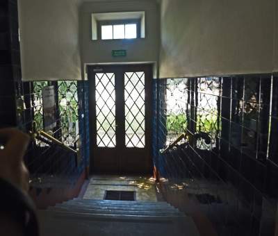 Wesoła, czerwiec 2021. Fot. Marek Lasyk - zdjęcie 36