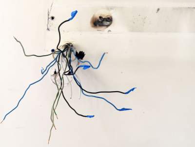 Wesoła, czerwiec 2021. Fot. Marek Lasyk - zdjęcie 34