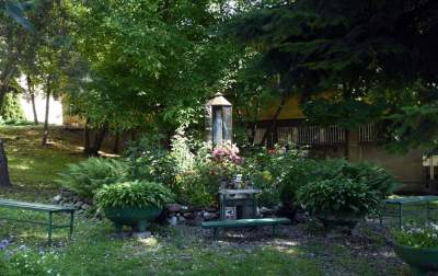 Wesoła, czerwiec 2021. Fot. Marek Lasyk - zdjęcie 23