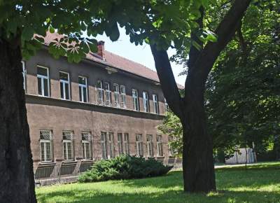 Wesoła, czerwiec 2021. Fot. Marek Lasyk - zdjęcie 28