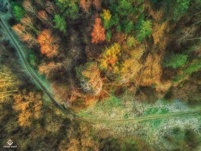 Baśniowy krajobraz koło Krakowa - zdjęcie 5