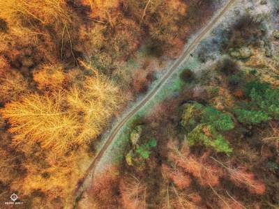 Baśniowy krajobraz koło Krakowa - zdjęcie 8