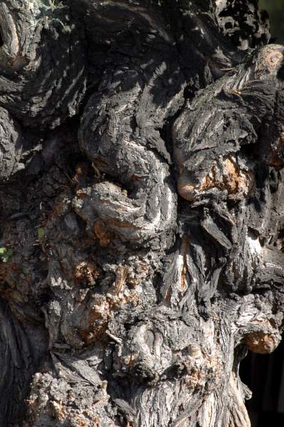 Kilkanaście lat temu akcja wywolała protesty. To była konieczna wymiana - zdjęcie 30