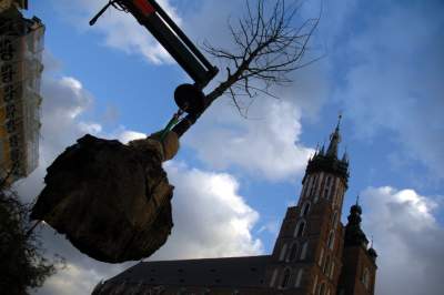Kilkanaście lat temu akcja wywolała protesty. To była konieczna wymiana - zdjęcie 1
