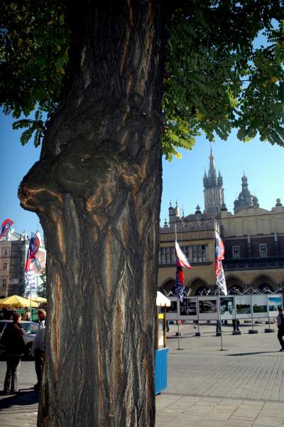 Kilkanaście lat temu akcja wywolała protesty. To była konieczna wymiana - zdjęcie 13