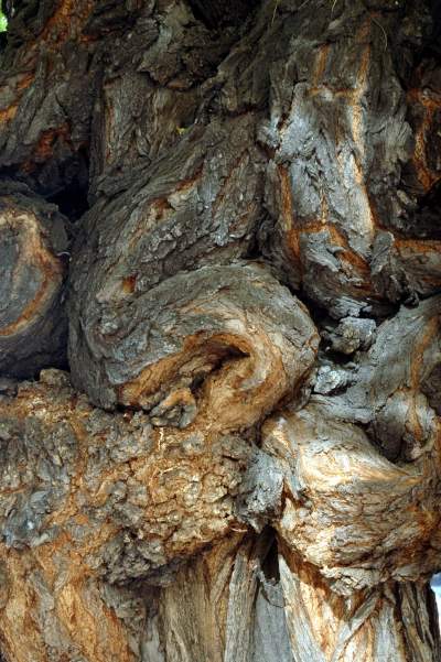 Kilkanaście lat temu akcja wywolała protesty. To była konieczna wymiana - zdjęcie 21