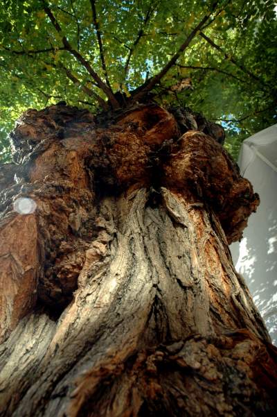 Kilkanaście lat temu akcja wywolała protesty. To była konieczna wymiana - zdjęcie 20