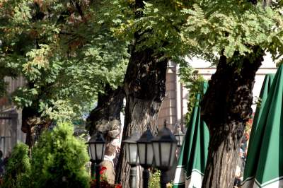 Kilkanaście lat temu akcja wywolała protesty. To była konieczna wymiana - zdjęcie 14