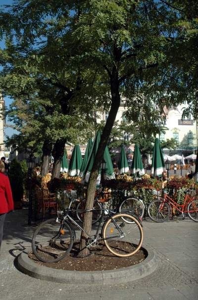 Kilkanaście lat temu akcja wywolała protesty. To była konieczna wymiana - zdjęcie 32
