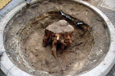 Kilkanaście lat temu akcja wywolała protesty. To była konieczna wymiana - zdjęcie 2