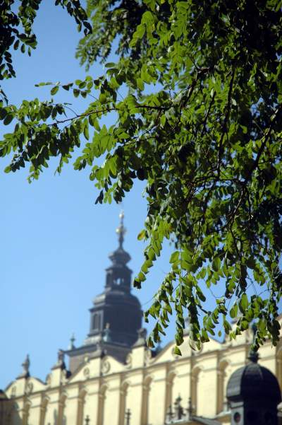 Kilkanaście lat temu akcja wywolała protesty. To była konieczna wymiana - zdjęcie 24