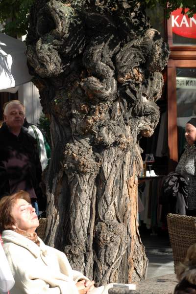 Kilkanaście lat temu akcja wywolała protesty. To była konieczna wymiana - zdjęcie 28