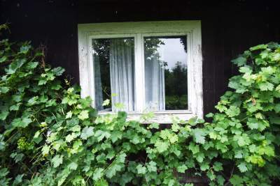 Chcą oddać swój rodzinny dom do skansenu - zdjęcie 16