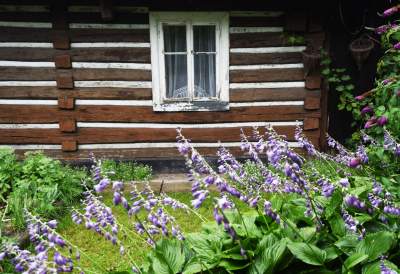 Chcą oddać swój rodzinny dom do skansenu - zdjęcie 5