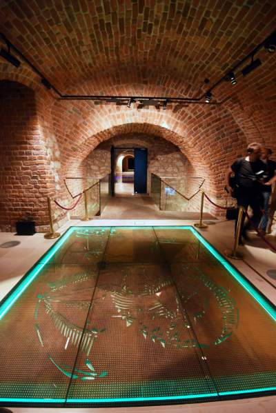 Krzysztofory od nowa. Znów dostępne dla ludzi, fot. Marek Lasyk - zdjęcie 46