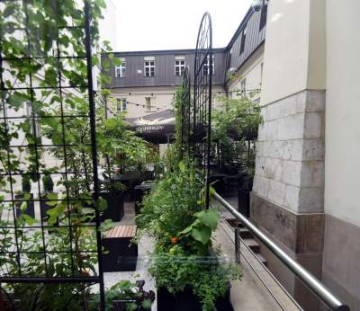 Krzysztofory od nowa. Znów dostępne dla ludzi, fot. Marek Lasyk - zdjęcie 2