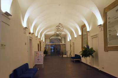 Krzysztofory od nowa. Znów dostępne dla ludzi, fot. Marek Lasyk - zdjęcie 12