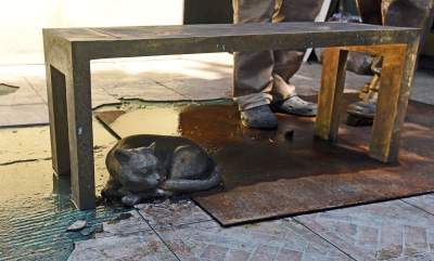 Pomnik Bohdana Smolenia. Co z nim zrobić? Fot. Marek Lasyk - zdjęcie 4