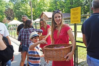 Baby i Citta świętowały w krakowskim ZOO. Uwięzione, ale szczęśliwe? - zdjęcie 15