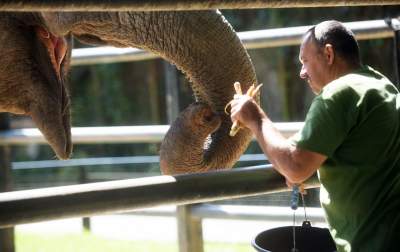 Baby i Citta świętowały w krakowskim ZOO. Uwięzione, ale szczęśliwe? - zdjęcie 18