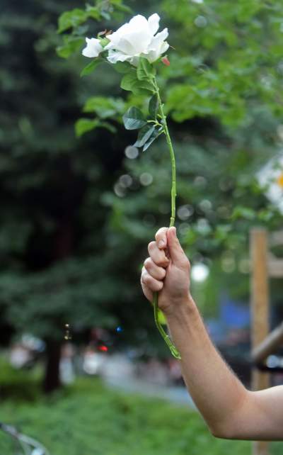 Protest przed siedzibą PiS, fot. Marek Lasyk - zdjęcie 17