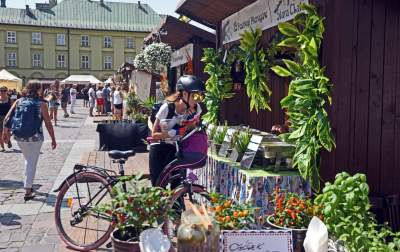 19. Festiwal Pierogów na Małym Rynku, fot. Marek Lasyk - zdjęcie 7