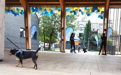 Tak prezentuje się nowo otwarty basen przy Eisenberga - zdjęcie 14