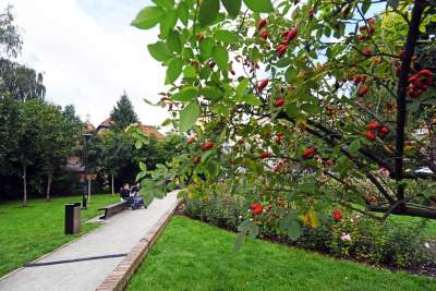 Skwer Janiny Paradowskiej przy ulicy Łobzowskiej - zdjęcie 13