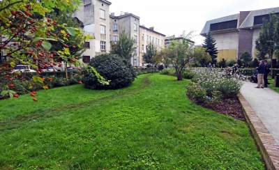 Skwer Janiny Paradowskiej przy ulicy Łobzowskiej - zdjęcie 14