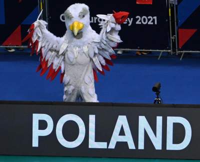 Orzeł czy kura? Maskotka polskich siatkarzy budzi emocje... - zdjęcie 12
